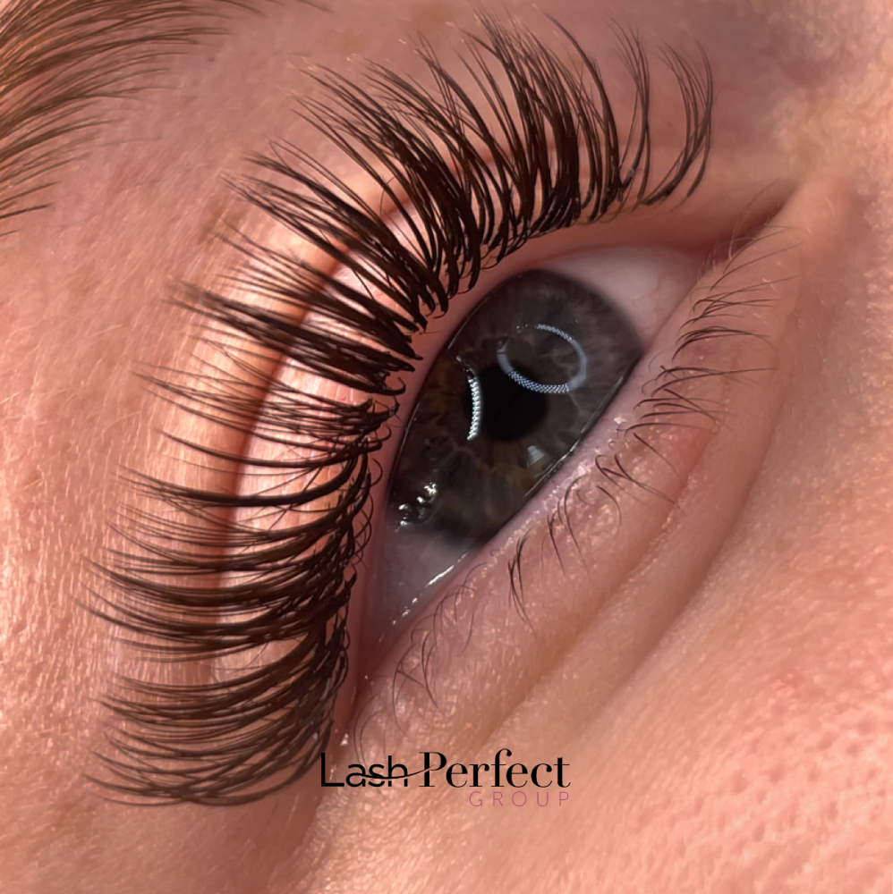 Lash Perfect Image